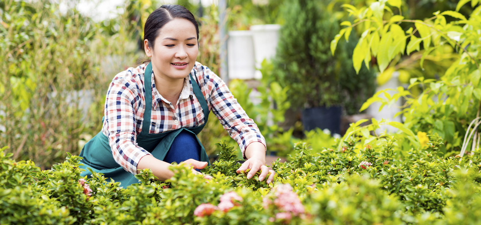 Horticulturalist